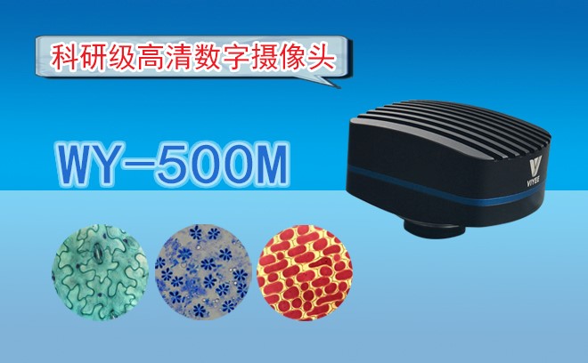 高清CMOS91短视频在线视频WY-500M
