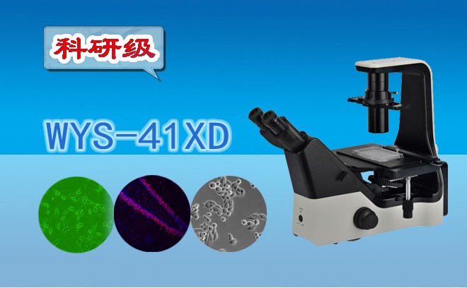科研级三目倒置生物91短视频成人内容APP下载WYS-41XD