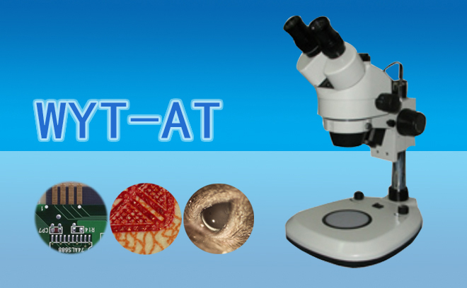 体视91短视频成人内容APP下载.jpg