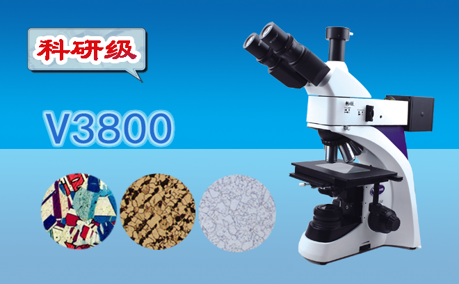 今日好用的91短视频成人内容APP下载分享之体视91短视频成人内容APP下载